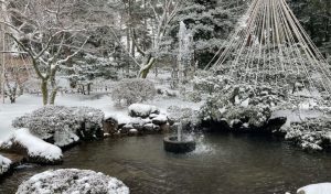 雪の日の光景